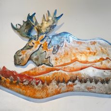 Bull Moose on the Loose